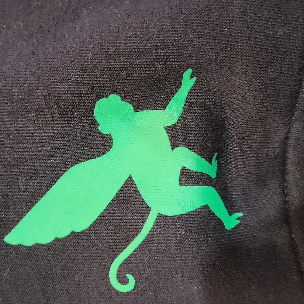 Wicked Jacket 💚🩷 - Picture 6 of 16